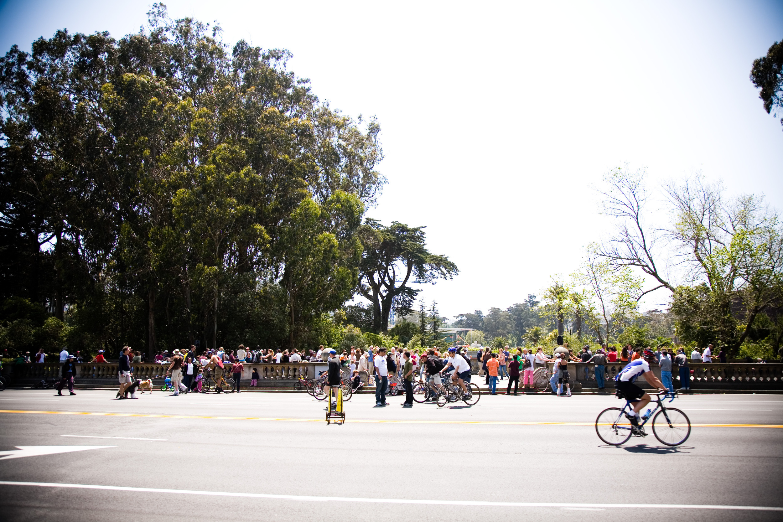 Lindy in the Park is cancelled this Sunday, May 15, 2016 due to Bay to Breakers