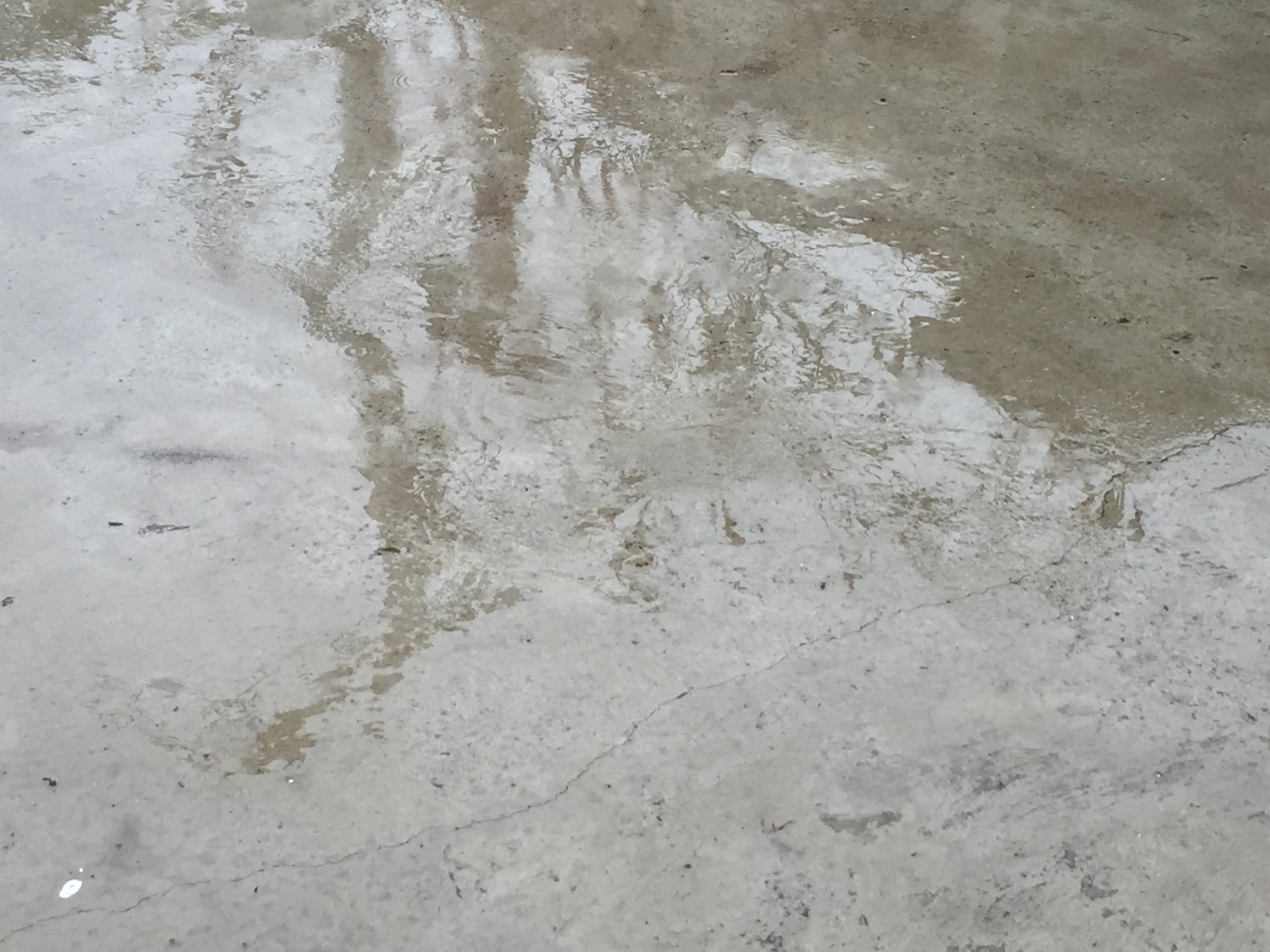Sunday, Mar 19, 2023: Lindy in the Park is CANCELED