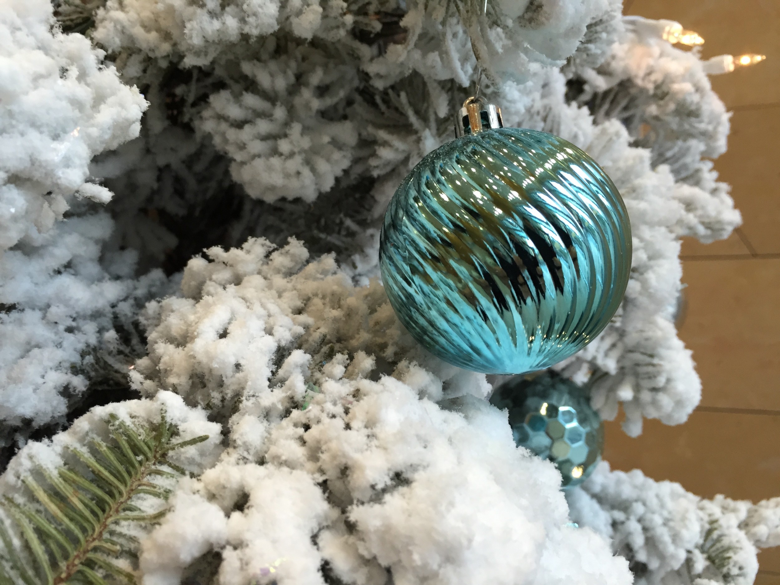 Sunday, Dec 28, 2025: Special Holiday Edition!
